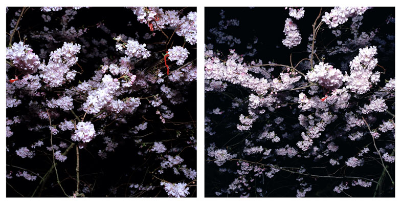 RCA Photography 2007 - Hyun-Ah Cho