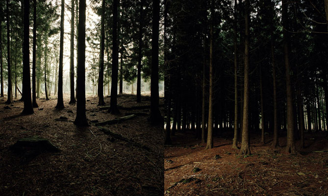 RCA Photography 2007 - Marie-France Kittler 